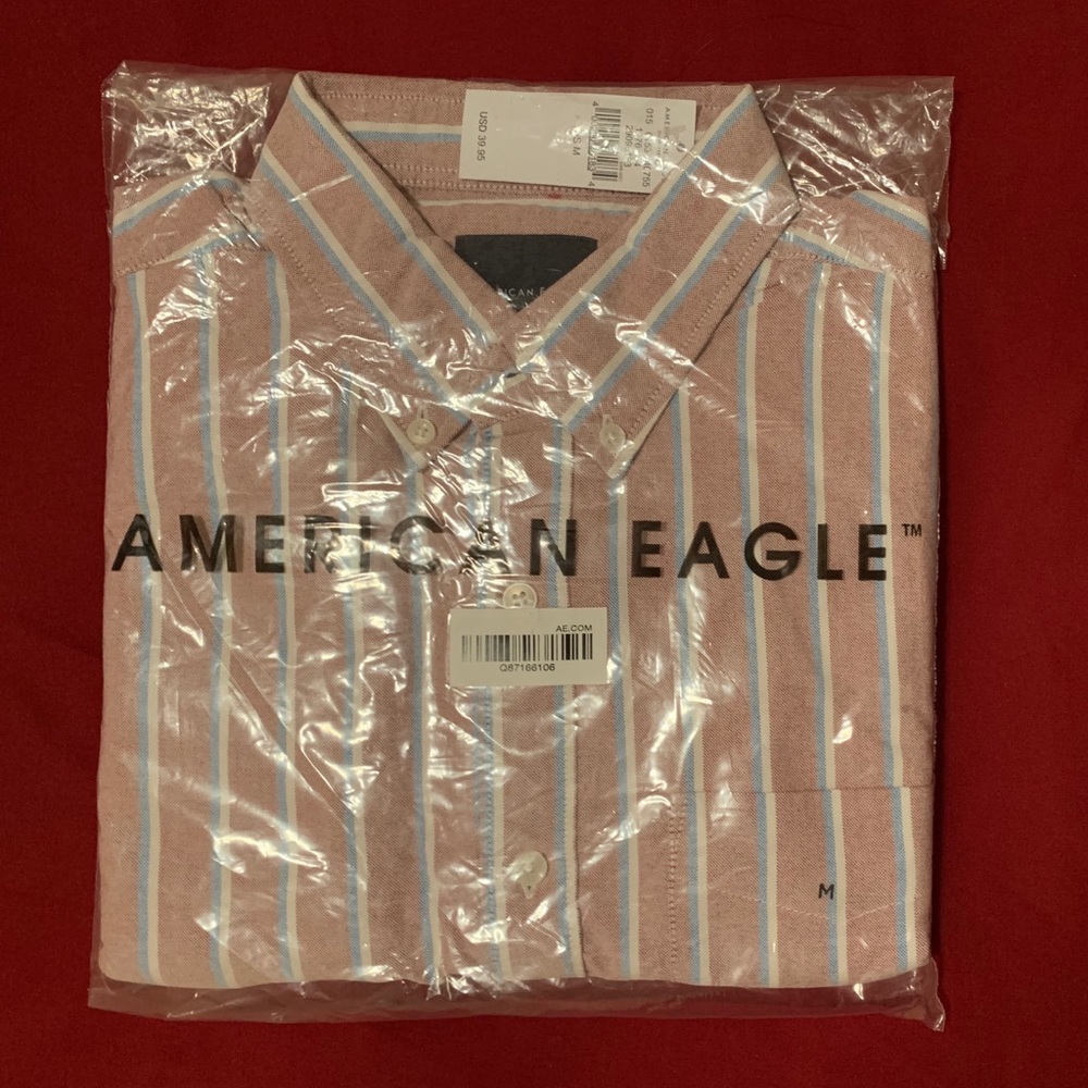 NWT Men’s AE Striped Button Down Shirt